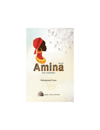 Amina...un roman