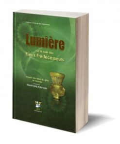 Lumière sur la voie des Pieux Prédécesseurs