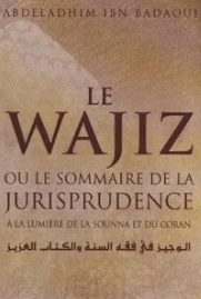 Le Wajiz ou le sommaire de la jurisprudence