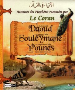 HISTOIRES DES PROPHETES (T7):Daoud Souleymane Younes