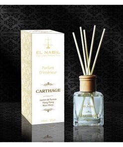 Diffuseur de Parfum d'ambiance Carthage