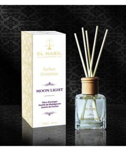 Diffuseur de Parfum d'ambiance Moon Light