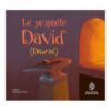 Le Prophète David - Dâwûd -