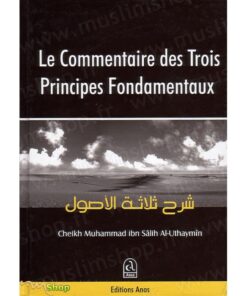 Le commentaire des 3 principes fondamentaux