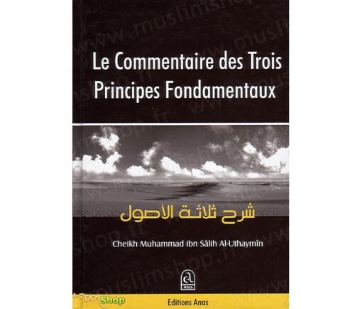 Le commentaire des 3 principes fondamentaux