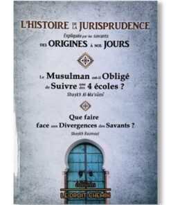 L'histoire de la jurisprudence expliqué par les savants des origines à nos jours