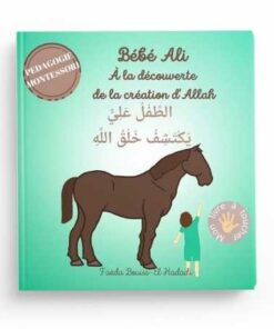 Bébé Ali à la découverte de la création d'Allah